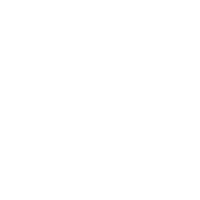 icon_tiktok