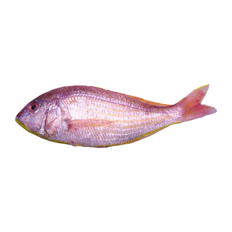 JTB_JPG_2