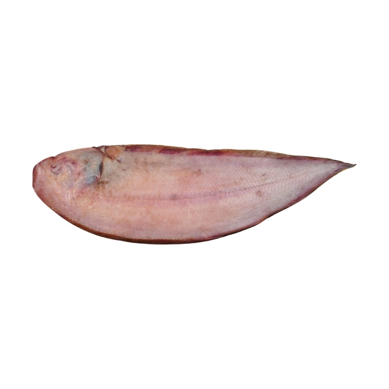 Sole Fish